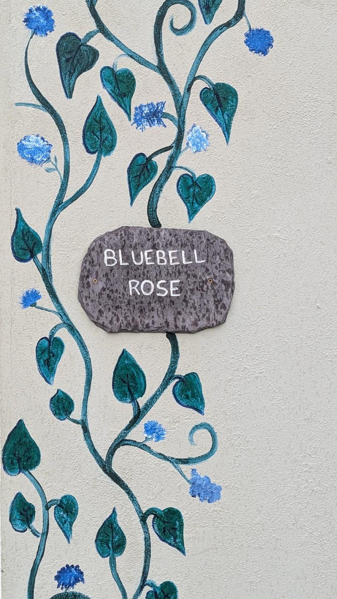 Skellig View Bluebell Rose & The Kerry Cliffs Apartment Портмаги Екстериор снимка